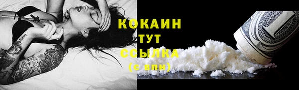 apvp Ветлуга