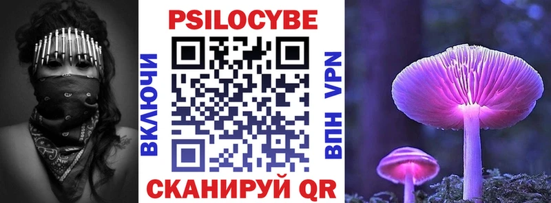 Галлюциногенные грибы Magic Shrooms  МЕГА маркетплейс  Дубна  купить  