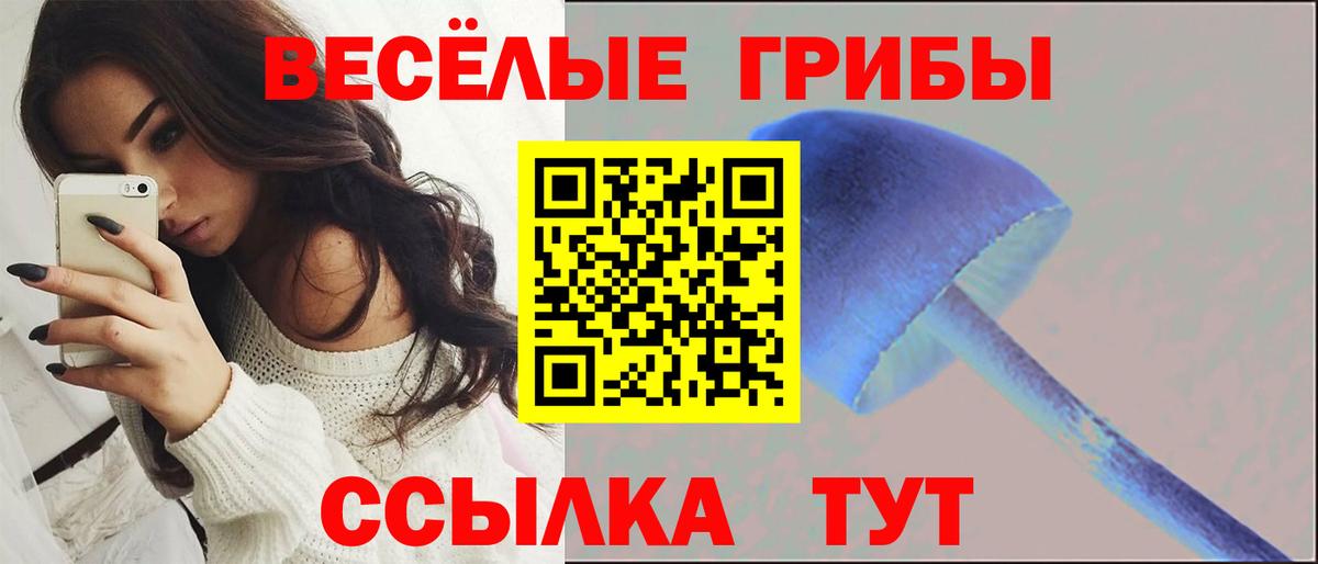 Дубна  Галлюциногенные грибы Psilocybine cubensis  Вход с VPN 